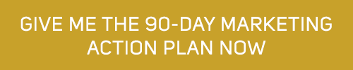 Give-Me-the-90-Day-Marketing-Action-Plan-Now-Button